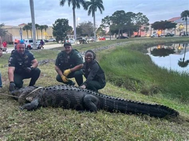 
A Florida man, Juan Carlos La Verde, 34, survives a 12-foot alligator attack despite losing half his skull 