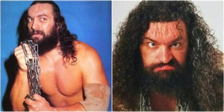 
Bruiser Brody Height, Weight, Net Worth, Age, Birthday, Wikipedia, Who, Instagram, Biography 