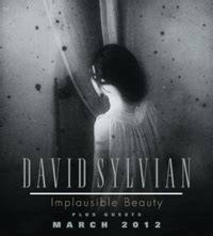 David Sylvian Illness And Health Update: Why Implausible Beauty Tour Cancelled?
