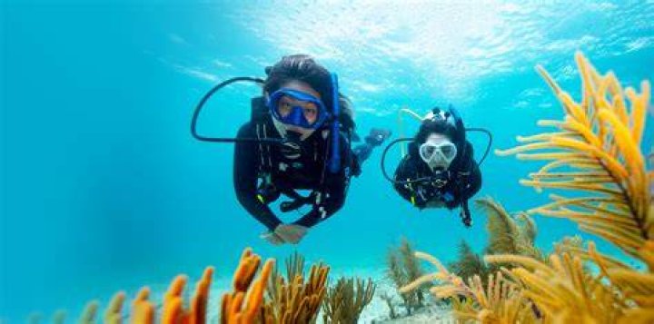 
Divi Henoch Passed Away In A Scuba Diving Accident: Obituary And Funeral Details 