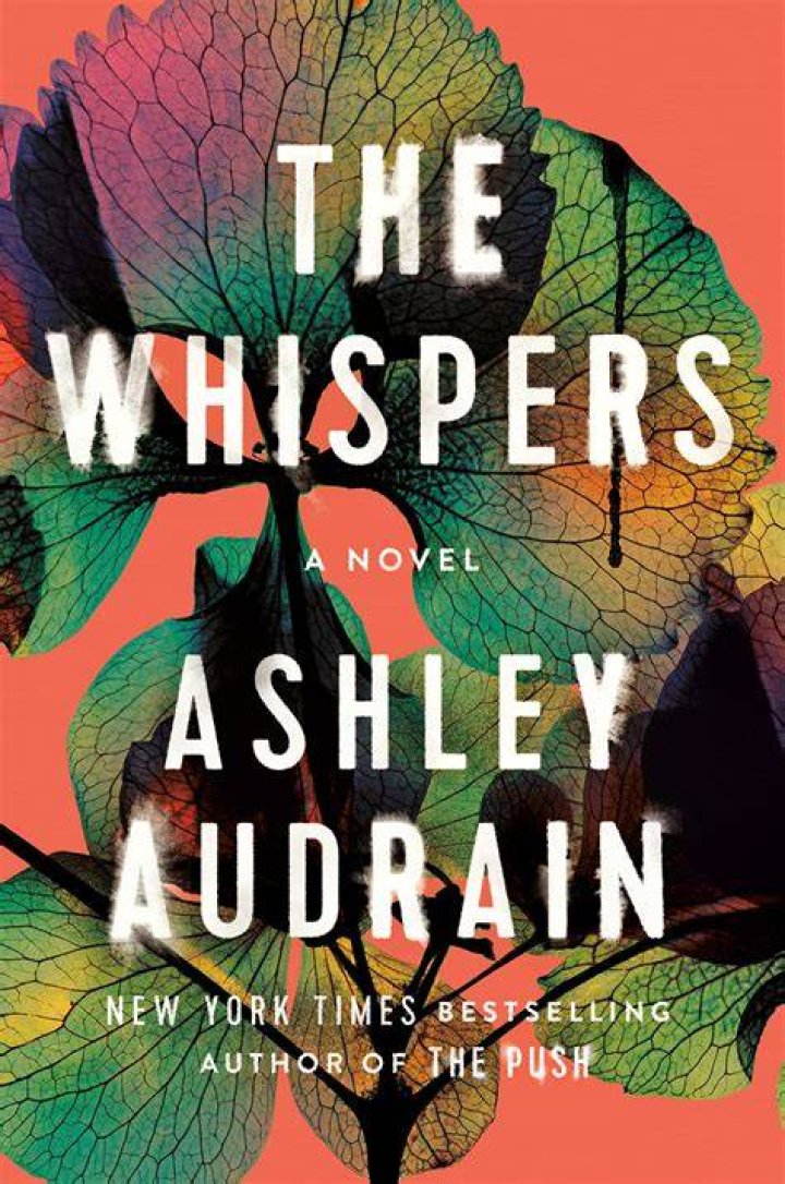 
Holly Beck Height, Weight, Net Worth, Age, Birthday, Wikipedia, Who, Nationality, Biography 