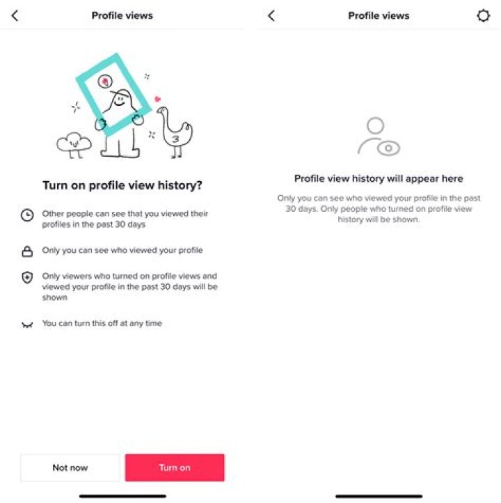 
How To See Profile Views On TikTok And How To Turn Off This History On TikTok? 
