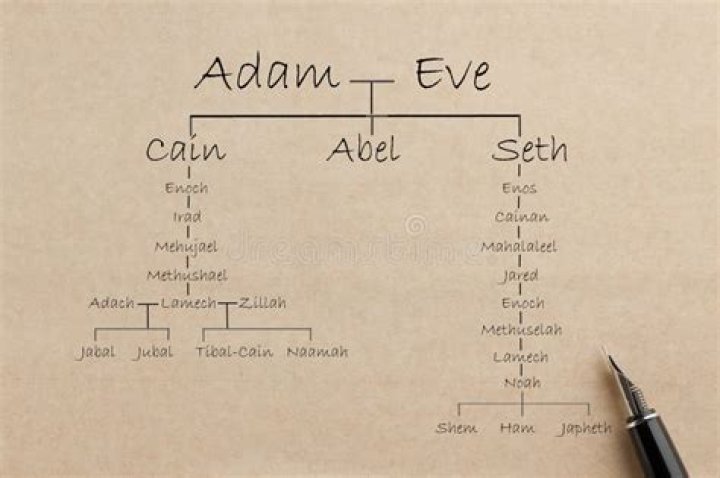 
Loreen Brother: Is She Related To Adam Baptiste? Family Tree 