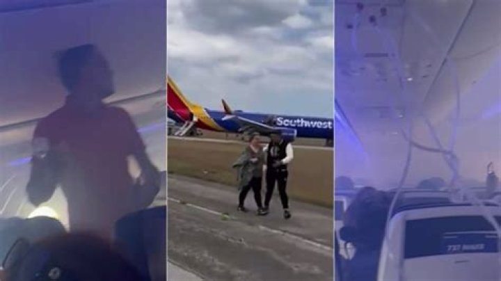 
Southwest Airlines flight made emergency landing in Cuba after striking a bird: Reports 