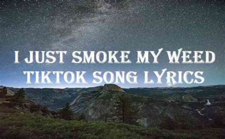
What Is I Just Smoke My Weed TikTok Song? New Trend Goes Viral As Fans Search For Its Lyrics And Original Track 