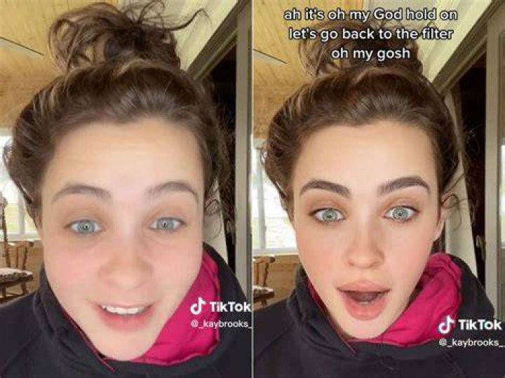 What Is The Shapeshifting Filter On TikTok? How To Get The Shapeshifting Filter On TikTok?