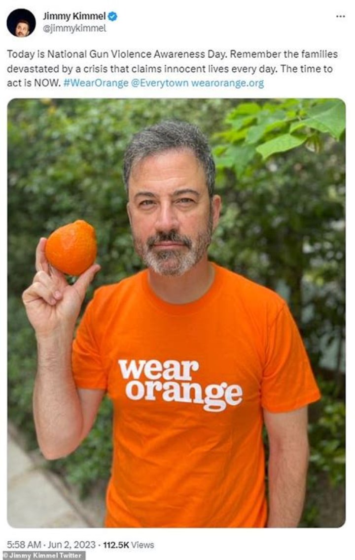 
What is ‘Wear Orange Day’? Jimmy Kimmel, Bette Midler participate in anti-gun violence campaign 