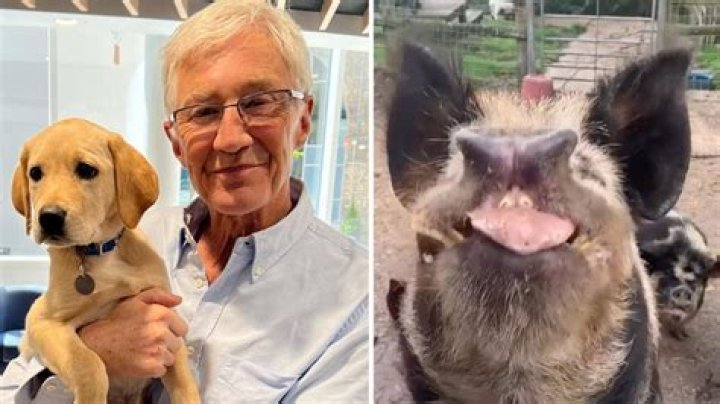 
What was Paul O’Grady’s last Instagram post before death? 