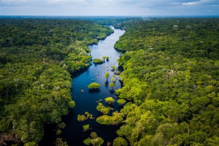 Who Are Juan Manuel Correa Parents? Juan Correa And Maria Correa Ethnic Background Explored